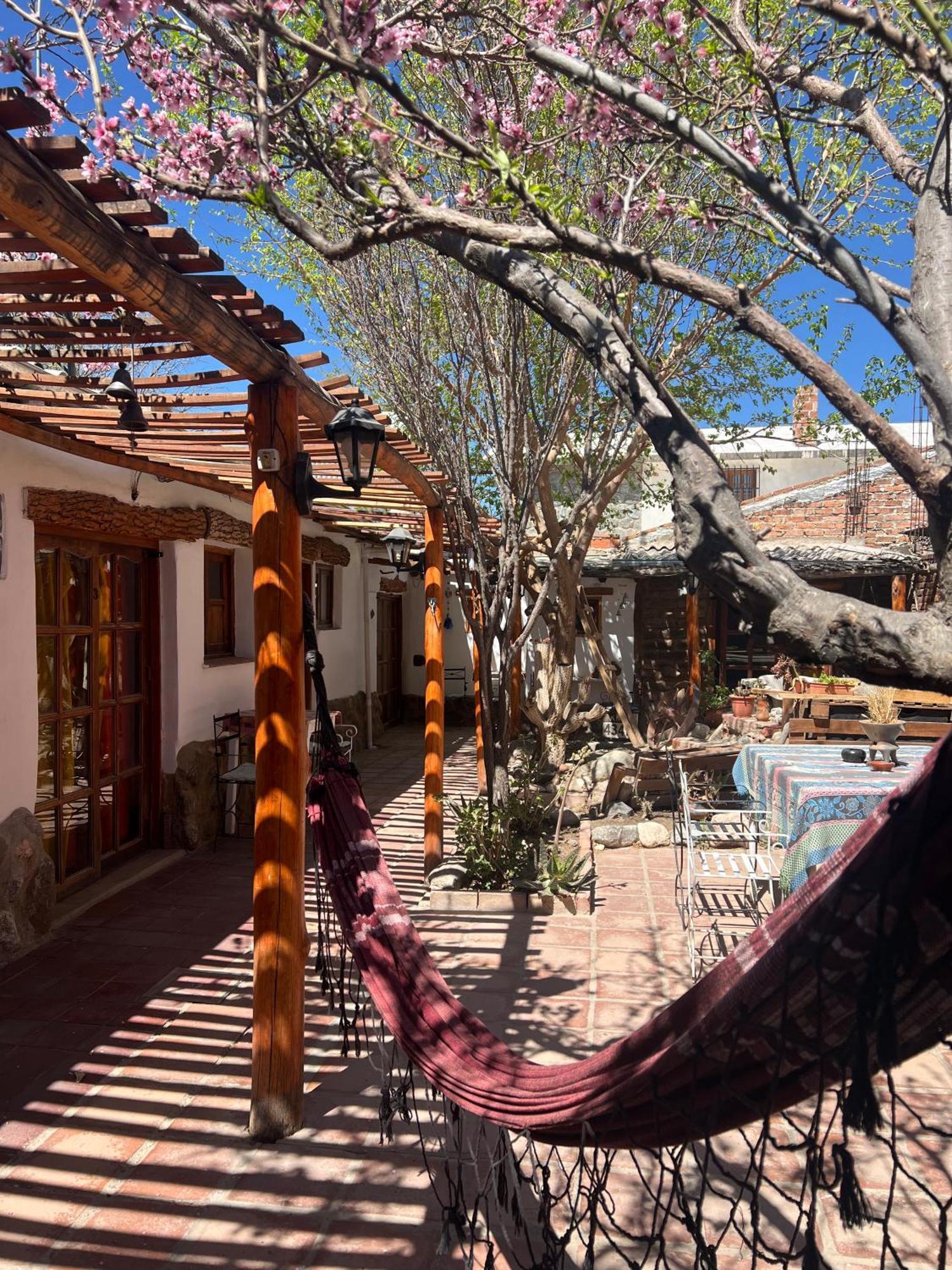 Hostal Tierra Andina كفايات المظهر الخارجي الصورة